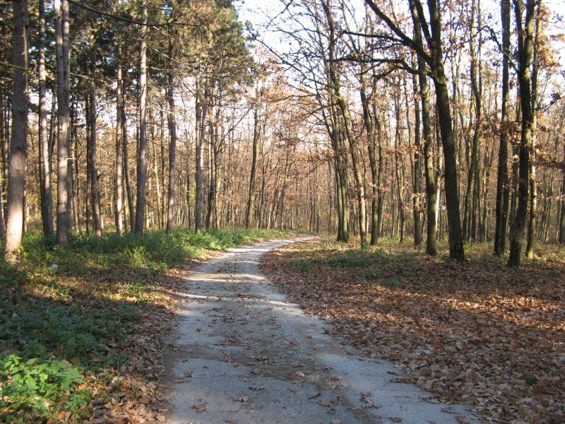 unistena_suma_mikulja